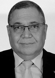 Hesham Negm (Prof Dr)