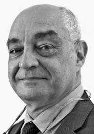 Manuel Bernal-Sprekelsen (Prof)